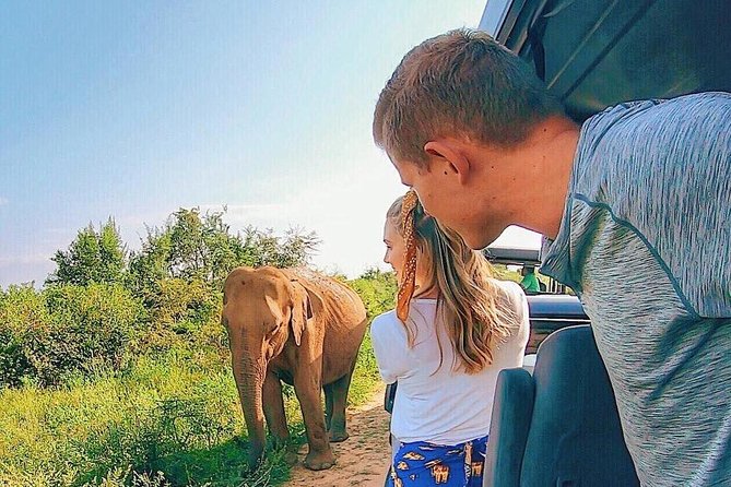 Udawalawe National Park Private Safari - Your 4x4 Safari Plan (In Plain English)