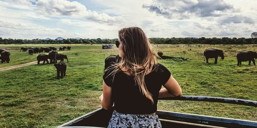 Udawalawe: National Park Safari & Elephant Transit Home Tour - Price and Logistics: What the $21 Actually Covers