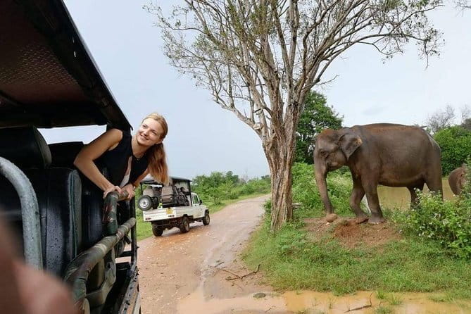 Udawalawe National Park Safari | From Ella - The pickup ride: A/C comfort and a chauffeur who handles the details