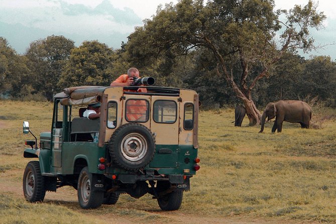 Udawalawe National Park Safari from Mirissa - Wildlife you can realistically expect (based on reported sightings)