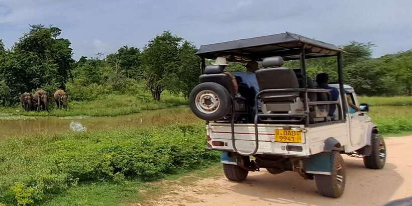 Udawalawe National Park Safari Tour - Udawalawe National Park: Why this safari day feels worth it