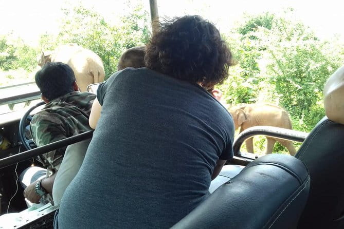 Udawalawe National Park Safari Trip from Ella - Price and value: is $200 per person a fair deal?
