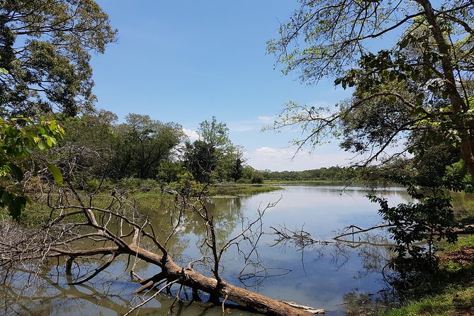 Udawalawe National Park Safari trip from Galle/Mirissa/Ella - The Midday Break: Lunch Timing and Staying Comfortable