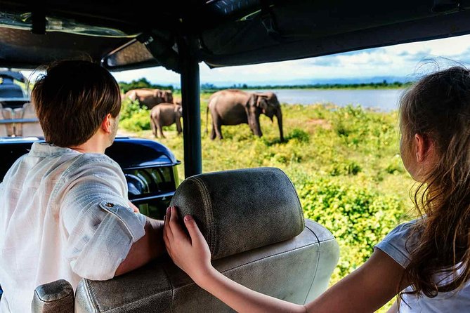 Udawalawe National Park Safari with Elephant Transit Home Visit - Price and value: what $24 includes (and what to double-check)