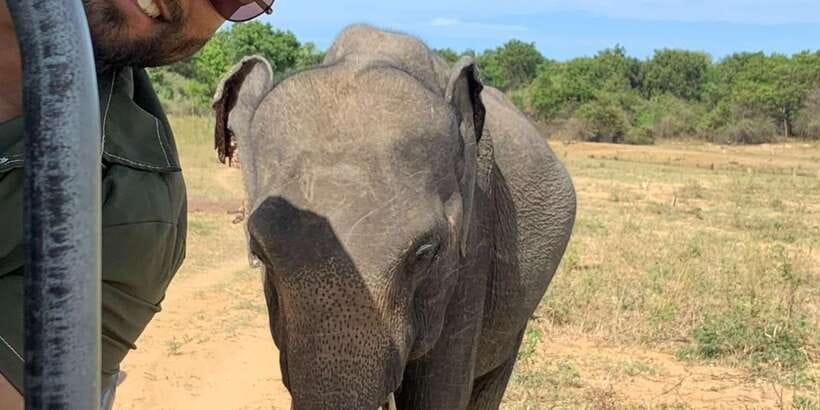 Udawalawe National park with Safari jeep & Entrance ticket - A Half-Day Udawalawe Safari: How 3.5 Hours Plays Out