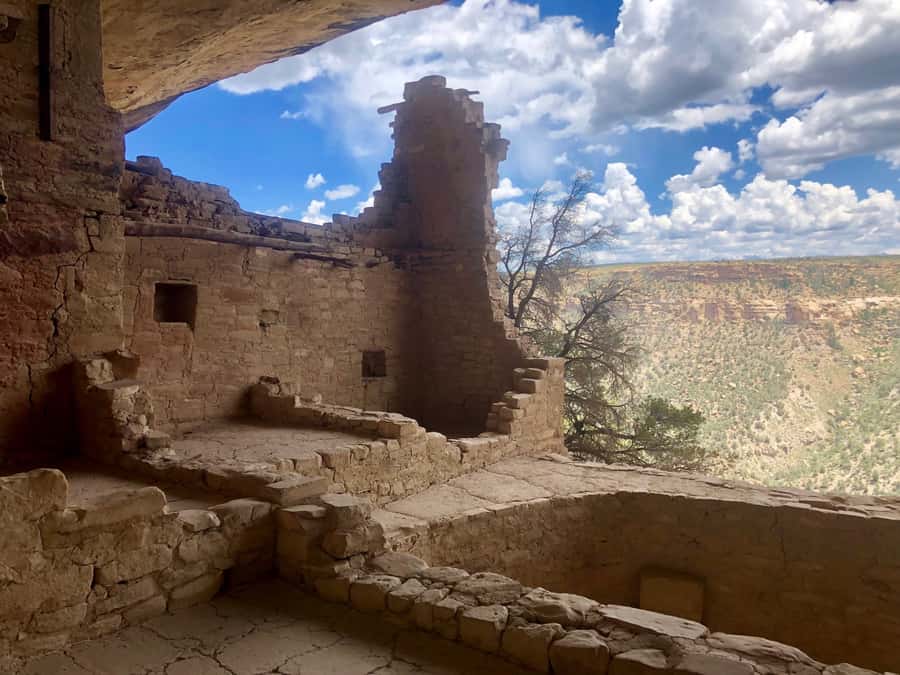 Ultimate Mesa Verde Experince National Park Tour ~ PRIVATE - Spruce Canyon trail overlooks: Spruce Tree House in view