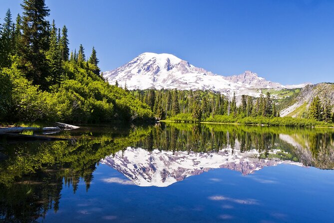 Ultimate Mount Rainier National Park Self-Guided Driving Tour - Paradise and the Narada–Reflection Lakes zone: short walks with big mountain moments