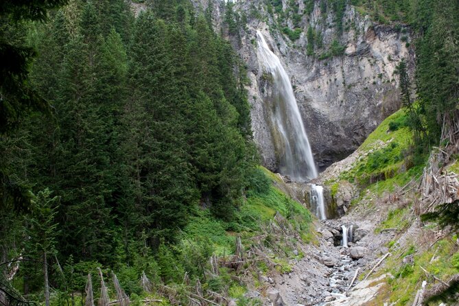 Ultimate Mount Rainier National Park Self-Guided Driving Tour - Ohanapecosh and Tipsoo: older forests, hot springs connection, and quieter water