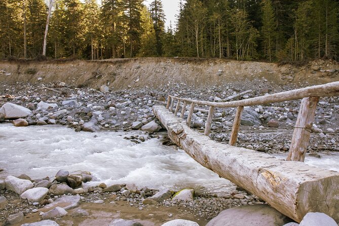 Ultimate Mount Rainier National Park Self-Guided Driving Tour - White River corridor and Sunrise Rim: timing for sunrise vibes