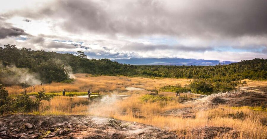 Ultimate National Park Tour from Waikoloa - From Waikoloa To Kona Coffee Country: Bay View Farm First