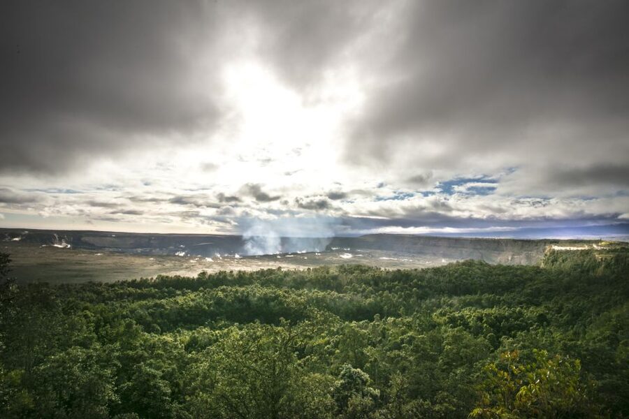 Ultimate National Park Tour from Waikoloa - South Kona and Ka’u District drive: lava, dry forest, and a bake shop stop
