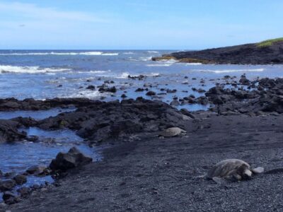 Ultimate National Park Tour from Waikoloa - Coffee tasting over Kealakekua Bay and the Captain Cook monument