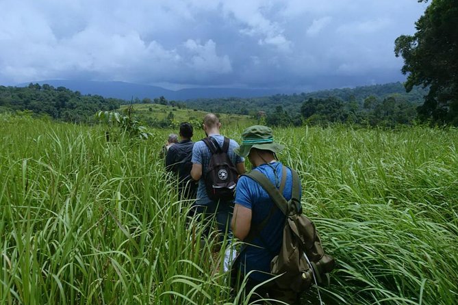 UNESCO Khao Yai National Park Adventure: Hiking & Waterfalls - Khao Yai National Park: a ranger-led hike you can actually enjoy