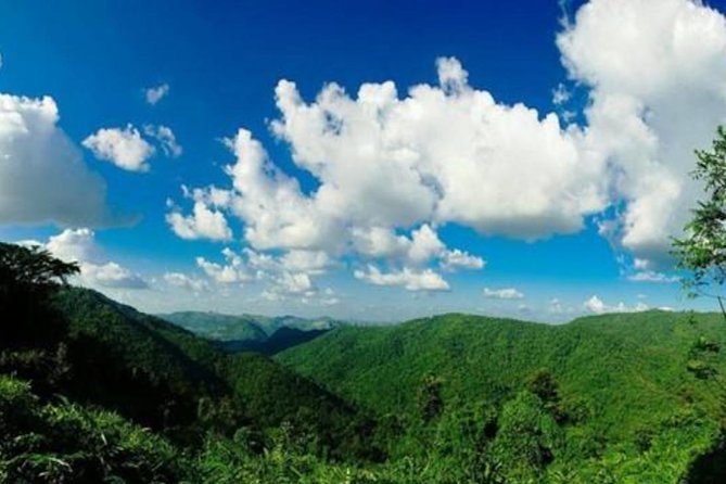 UNESCO Khao Yai National Park Adventure: Hiking & Waterfalls - Small-group pace: the difference between seeing and rushing