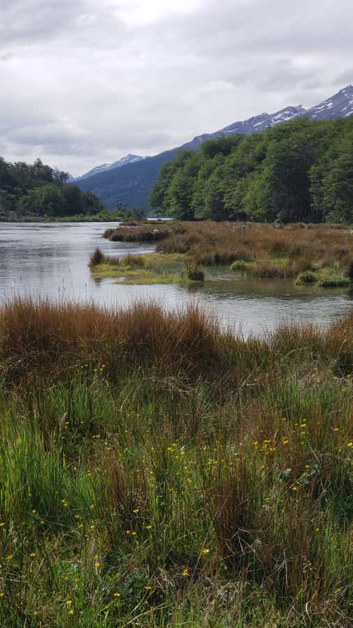 Ushuaia: Private Tour Tierra del Fuego National Park - Lapataia Bay: the Pan-American Highway’s southern end