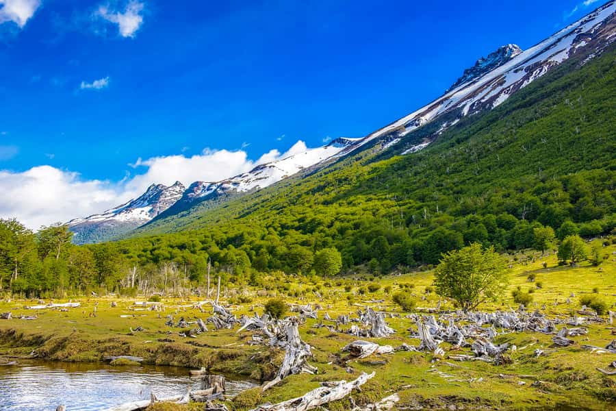Ushuaia: Shared Experience "Tierra del Fuego" National Park - Hotel pickup, timing, and the optional Train of the End of the World
