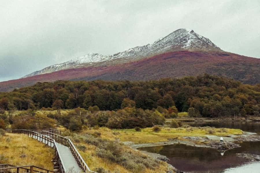 Ushuaia: Shared Experience "Tierra del Fuego" National Park - Price and value: what $75 covers (and what costs extra)
