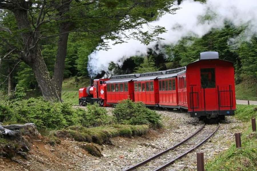 Ushuaia: Shared Experience "Tierra del Fuego" National Park - Who this tour fits best (and who should think twice)