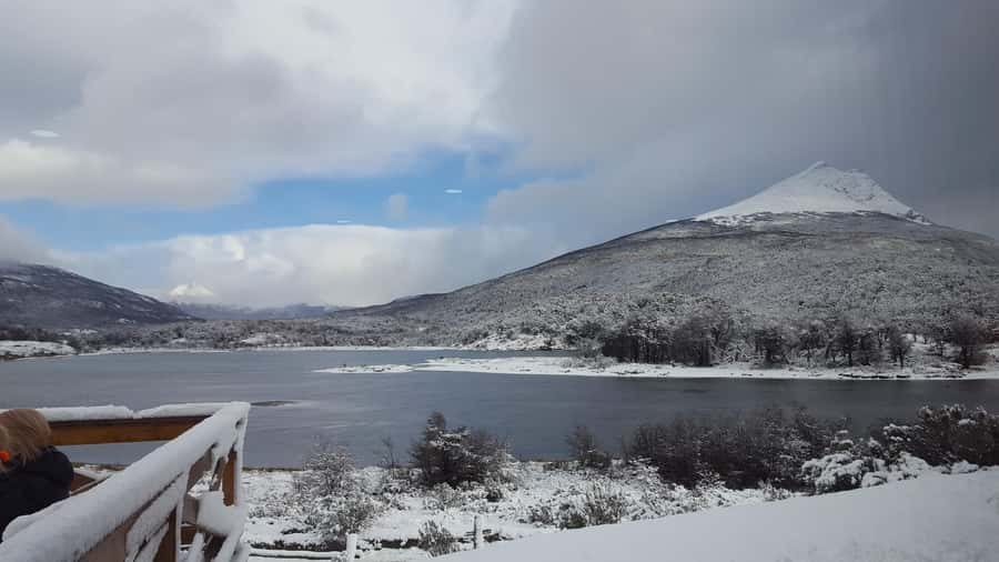 Ushuaia: Tierra del Fuego National Park - My booking call: should you choose this tour with Pingüinos Expediciones?