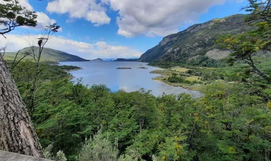 Ushuaia: Tierra del Fuego National Park Half-Day Tour - Price value: is $85 a good deal for this half-day?