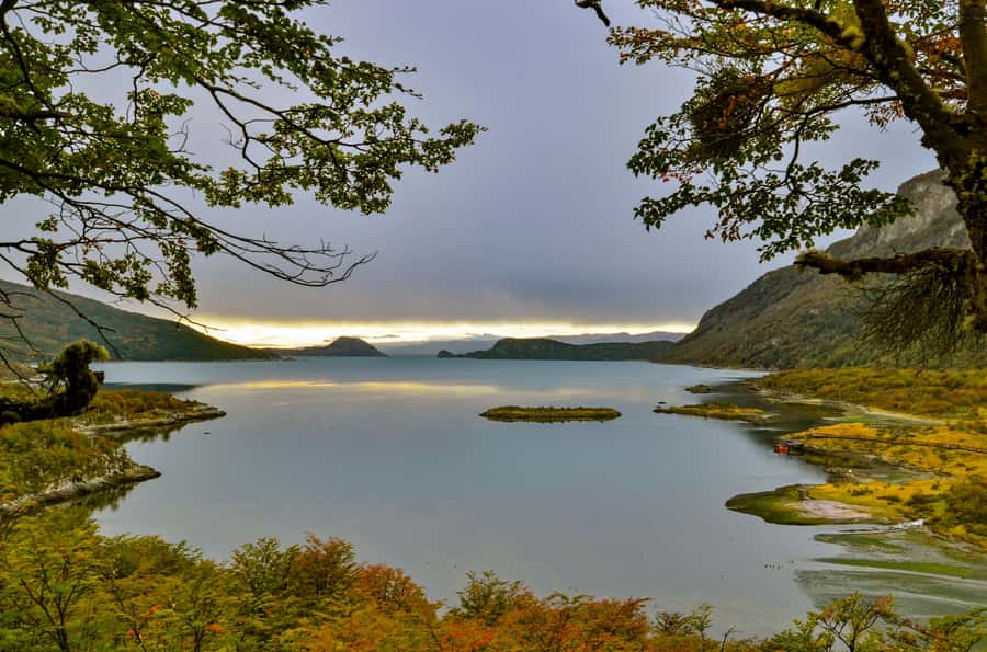 Ushuaia: Tierra del Fuego National Park Tour with Lunch - Key points to know before you go