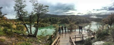 Ushuaia: Tierra del Fuego National Park Tour with Lunch - Guided Trails Through Tierra del Fuego’s Forests: Easy Walking, Real Explanations