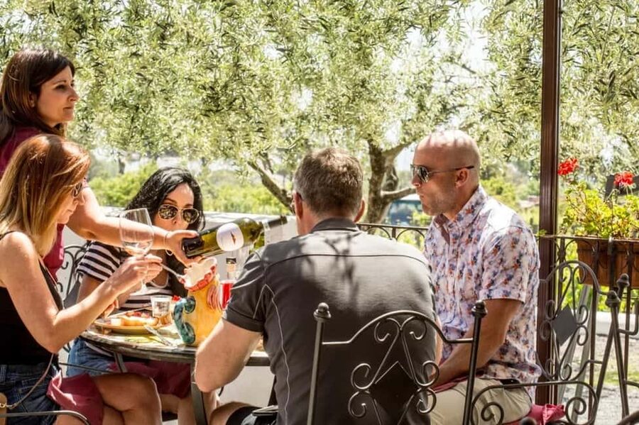 Vesuvio National Park: Wine Tasting & Tour with Light Lunch - Should you book the Vesuvio National Park wine tour with lunch?