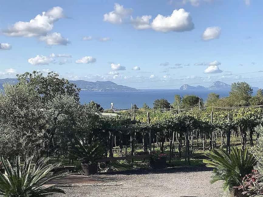 Vesuvio National Park: Wine Tasting & Tour with Light Lunch - Tomato-on-bread: a hands-on moment you won’t forget