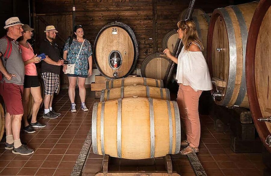 Vesuvio National Park: Wine Tasting & Tour with Light Lunch - Walking the vineyard rooted in volcanic soil