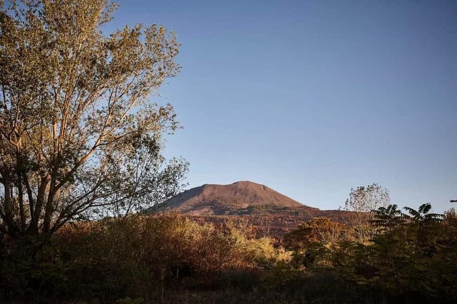 Vesuvio National Park: Wine Tasting & Tour with Light Lunch - Three-course traditional lunch with estate wine pairings