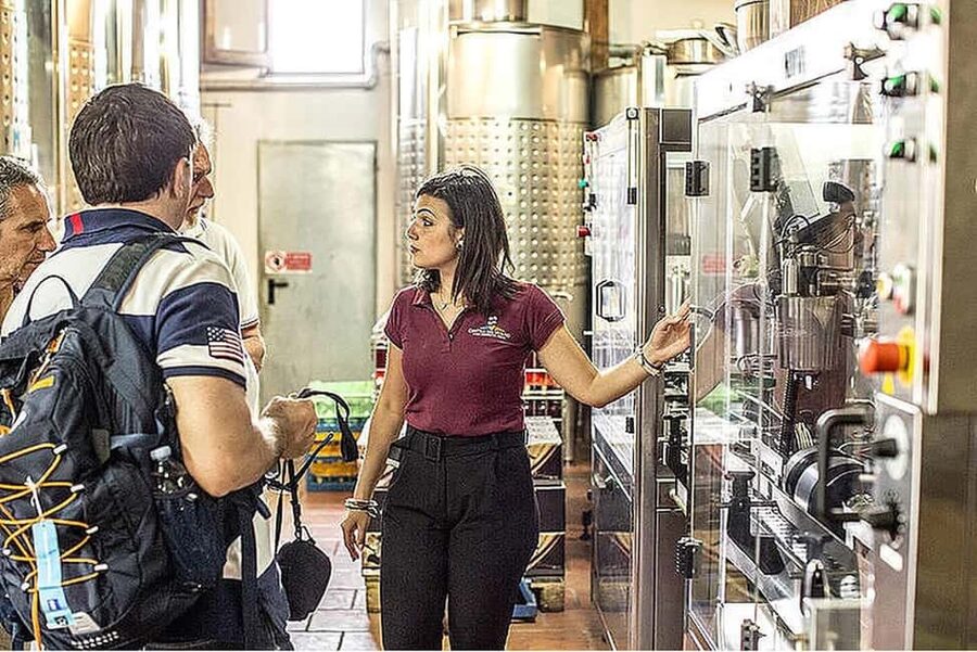 Vesuvio National Park: Wine Tasting & Tour with Light Lunch - Who this tour suits best (and who may prefer something else)