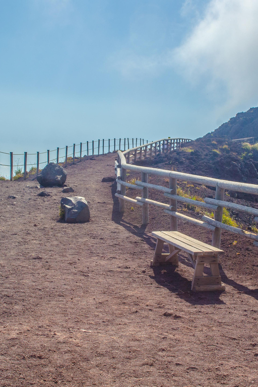 Vesuvius National Park Skip-The-Line Ticket and Audio Guide - Audio Guide: Helpful Stories, With a Backup Mindset