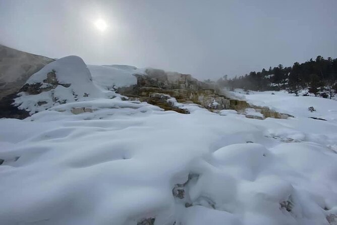 VIP Private North Yellowstone National Park Winter Excursion - North Yellowstone in Winter: Why This Feels Like a Different Park