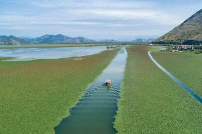 Virpazar Skadar Lake National Park Guided Boat Tour - Through the winding river channel: greenery before the lake opens up