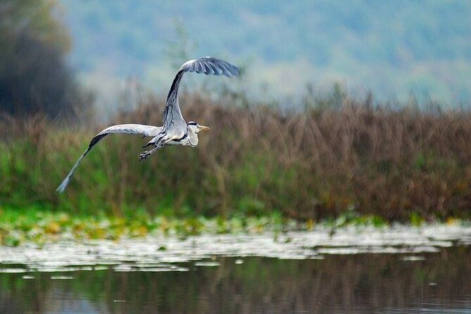 Virpazar Skadar Lake National Park Guided Boat Tour - Sailing Mala and Velika Cakovica and Kamenik islands: views that feel untouched