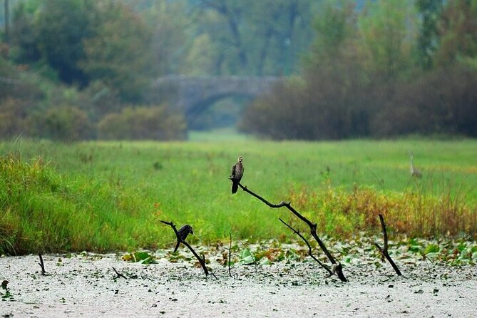 Virpazar Skadar Lake National Park Guided Boat Tour - Price and value: what $26.41 buys on Skadar Lake