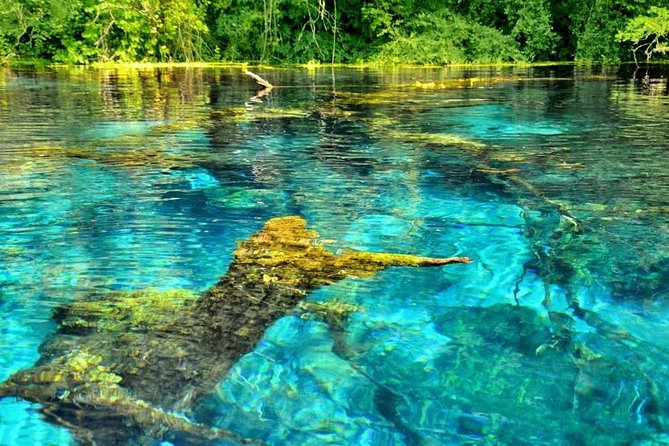 Visit The National Park of Blue Eye & Lekuresi castel - Key things I’d focus on