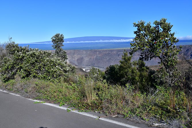 Volcano National Park Adventure From Kona - Heavenly Hawaiian Kona Coffee Farm: More Than a Quick Sample