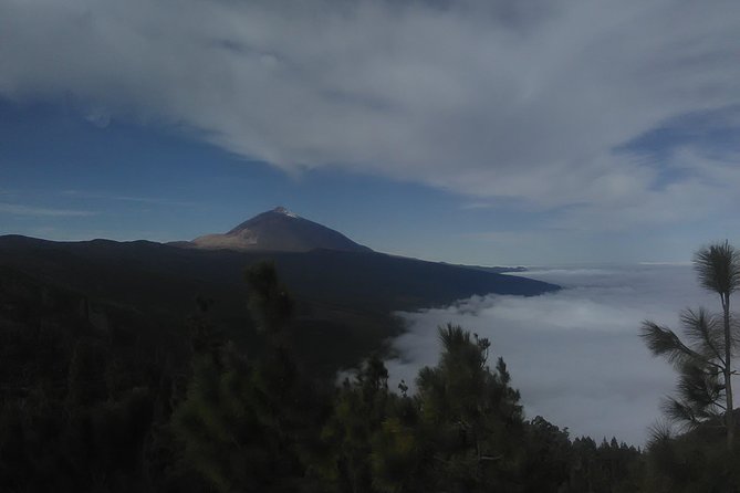 Volcano Teide National Park And North Of The Island VIP TOUR - Key Highlights You’ll Feel Right Away