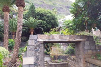 Volcano Teide National Park And North Of The Island VIP TOUR - Price and Value: Is $86.51 Worth It?