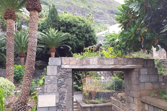 Volcano Teide National Park And North Of The Island VIP TOUR - Price and Value: Is $86.51 Worth It?