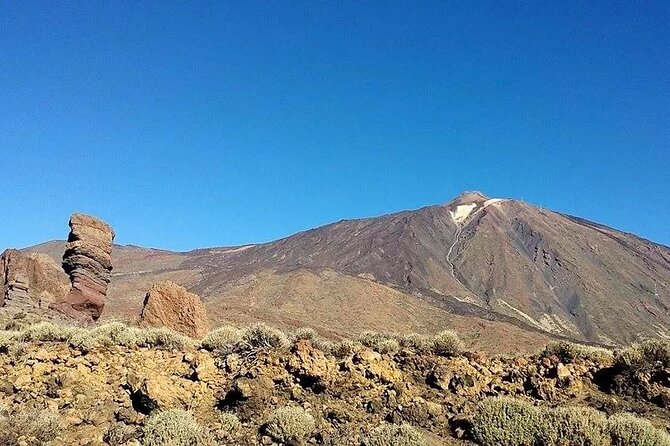 Volcano Teide National Park Guided Tour from Puerto de la Cruz - Tenerife North - Price and value: when 74 dollars makes sense (and when it doesn’t)