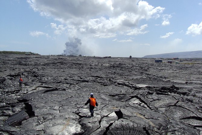 Volcanoes National Park Adventure Tour - Hilo Shore Excursion - Getting from Your Cruise to the Van: Pickup, Timing, and Group Size