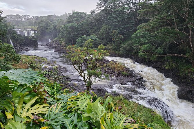 Volcanoes National Park and Hilo Private Tour - Optional add-ons like Richardson black sand and Akatsuka Orchid Gardens