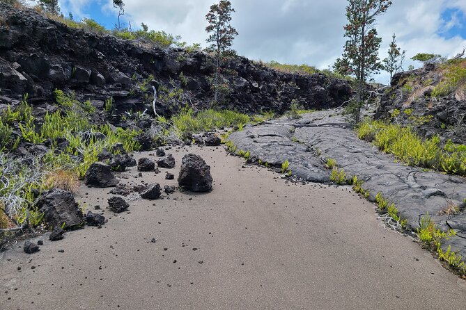 Volcanoes National Park and Hilo Private Tour - Included value that keeps you from spending extra all day