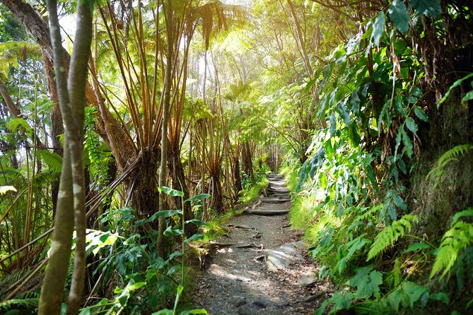 Volcanoes National Park: Guided, Small-Group Hike - Food, pacing, and comfort: why the meal setup is a big deal
