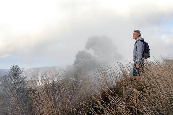 Volcanoes National Park: Guided, Small-Group Hike - Price and value: what $220 buys you (and what costs extra)