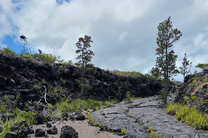 Volcanoes National Park Private Tour - Chain of Craters Road: the 19-mile East Rift drive