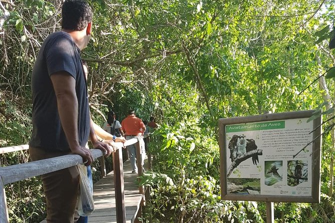 Walk And Snorkel In The National Park HT - Snorkeling Gear Included: What You Can Expect Underwater
