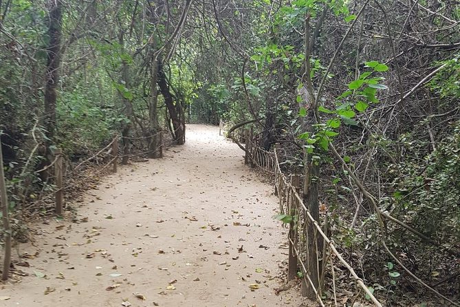 Walk And Snorkel In The National Park HT - Price and Value: Is $80 Worth It in Huatulco?